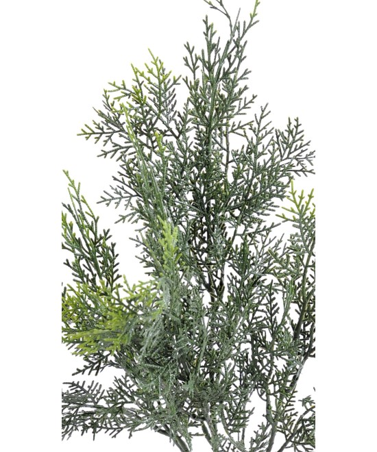 Kunstlik LAWSON Cypress dekoratiivoks