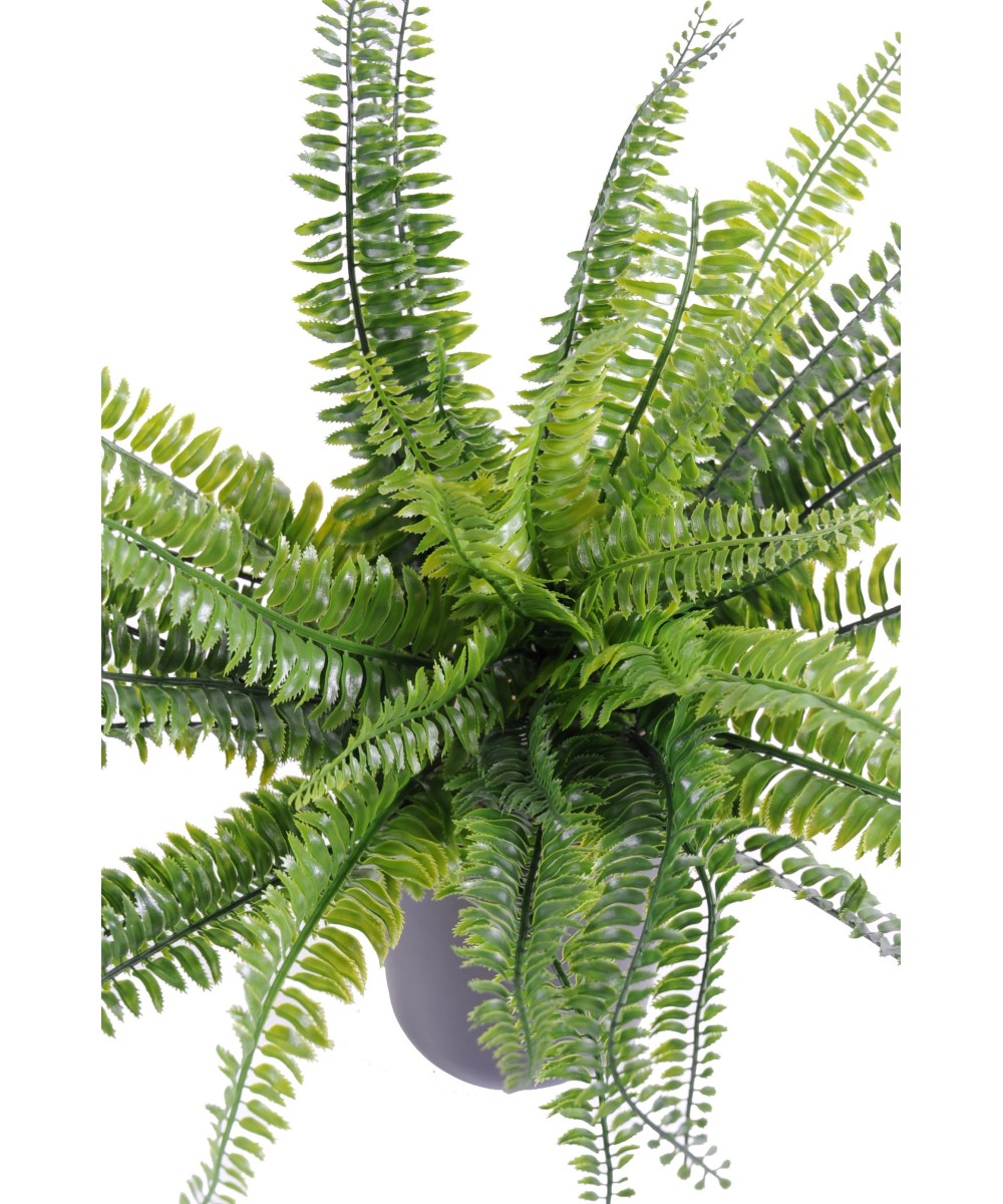 Artificial BOSTON fern PLAST
