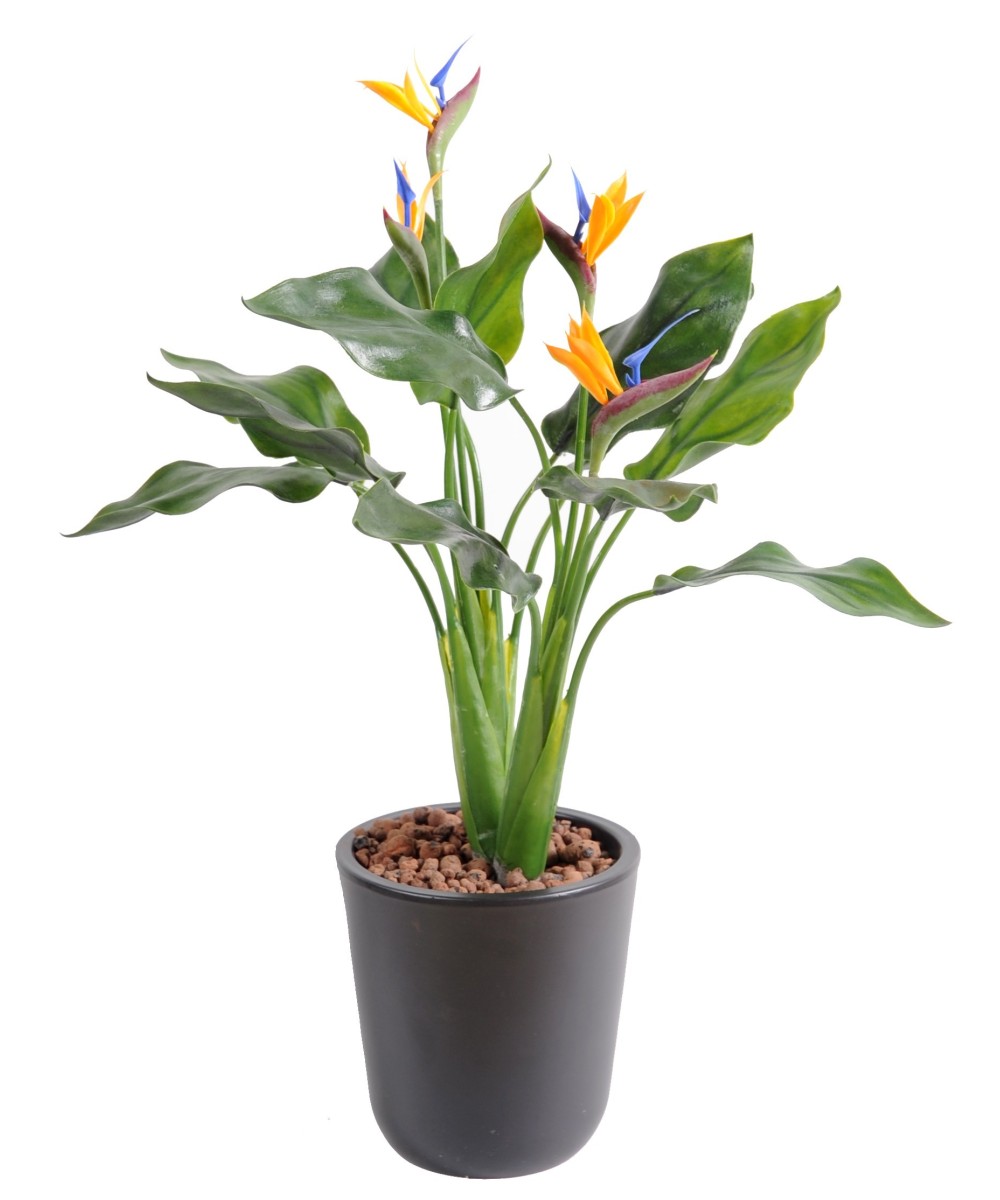 Artificial Strelitzia (Bird of paradise) PLAST