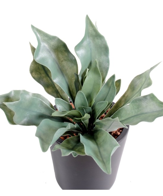 Kunstlik platütserium plast