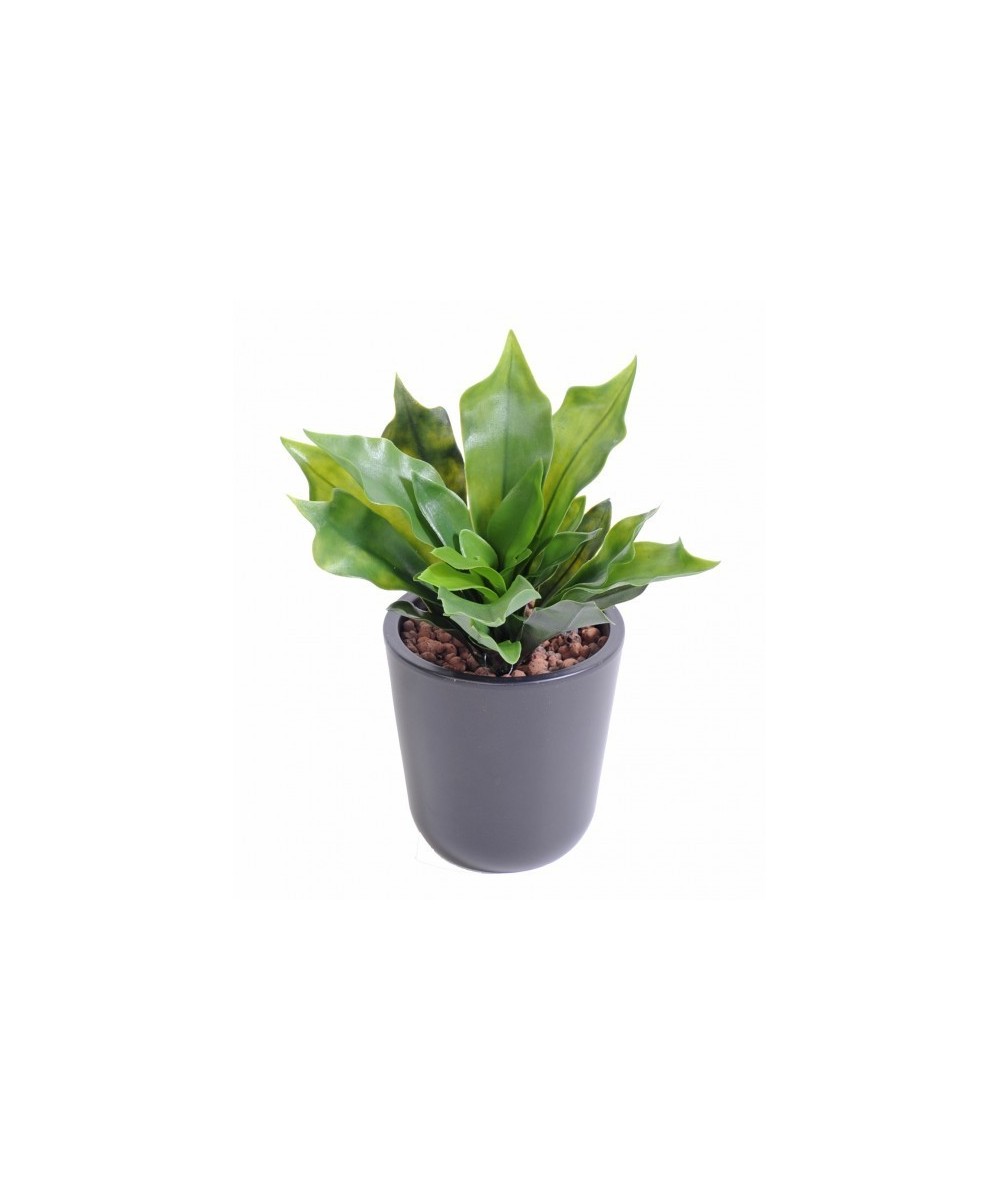 Artificial platycerium PLAST