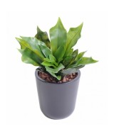 Artificial platycerium PLAST