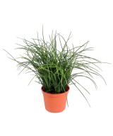 Artificial grass FINE POT