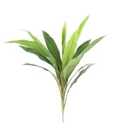 Artificial dracaena CORDYLINE