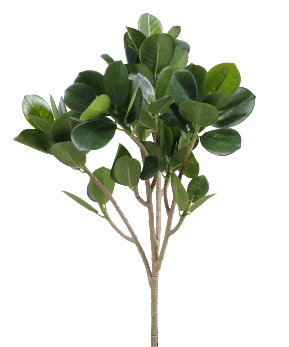 Kunstfikus PANDA (MICROCARPA) dekoratiivoks UUS