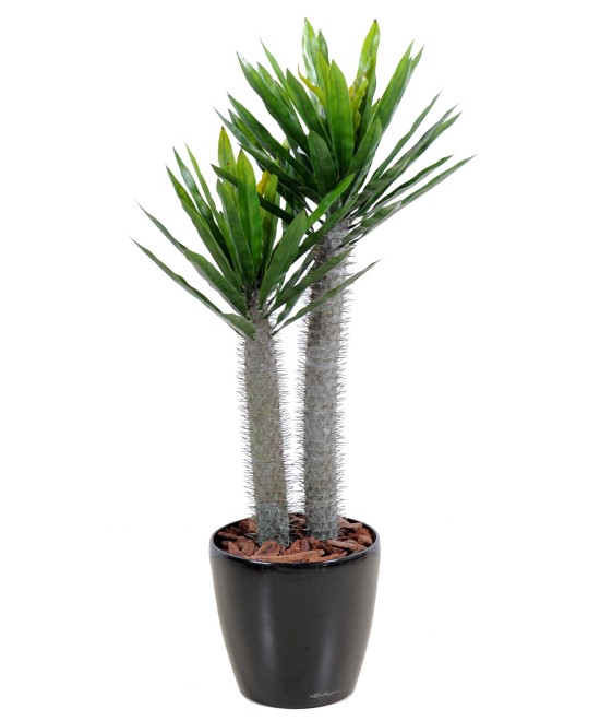 Kunstlik Pachypodium plast