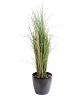 Artificial HONEY GRASS