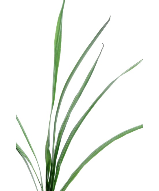 Artificial cymbidium leaf