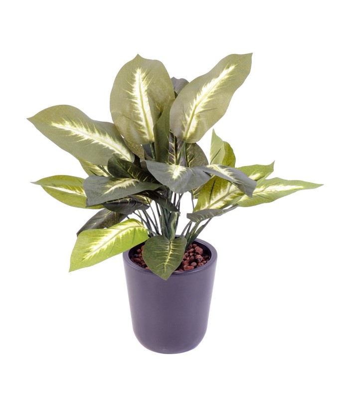 Kunstlik dieffenbachia