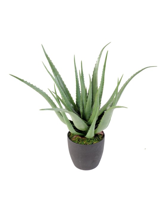 Kunstlik aaloe