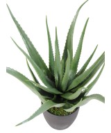 Artificial aloe