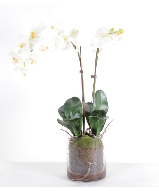 Artificial PHALAENOPSIS ORCHID ROUND VASE