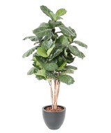 Artificial LYRATA STEM