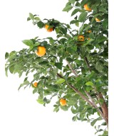 Artificial orange tree DOUBLE TREE