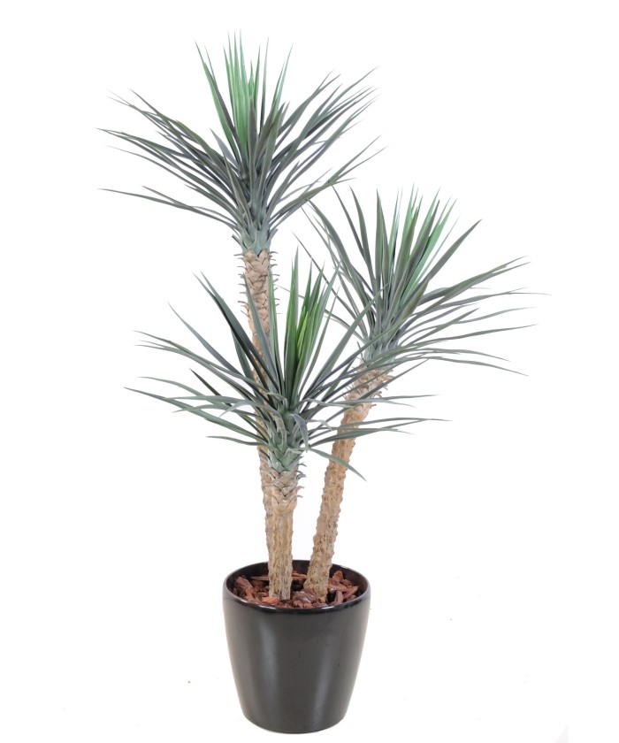 Artificial yucca ROSTRATA