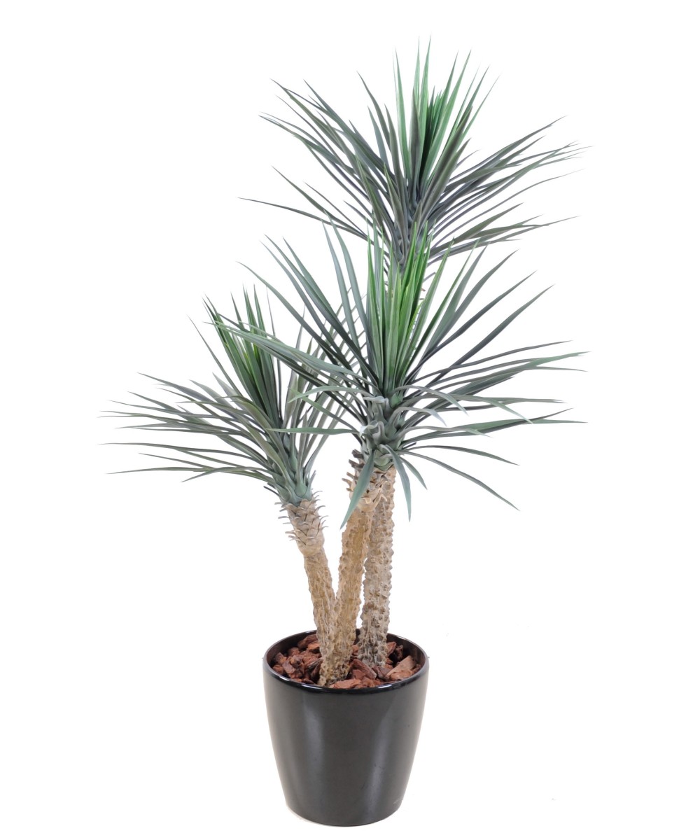 Artificial yucca ROSTRATA