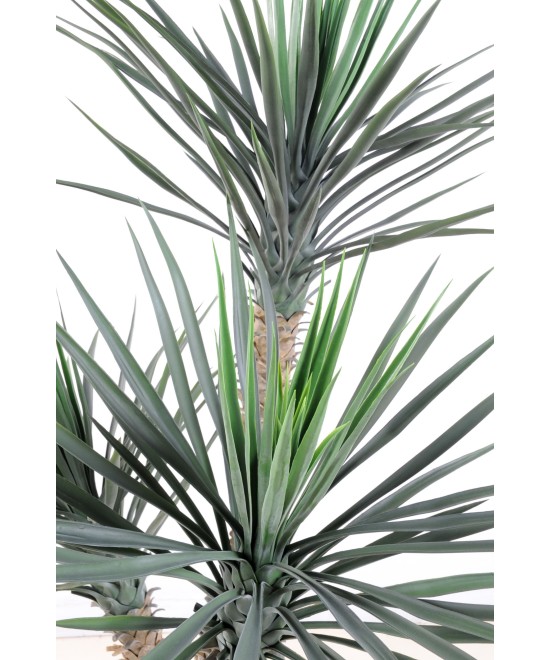 Kunstjuuka ROSTRATA