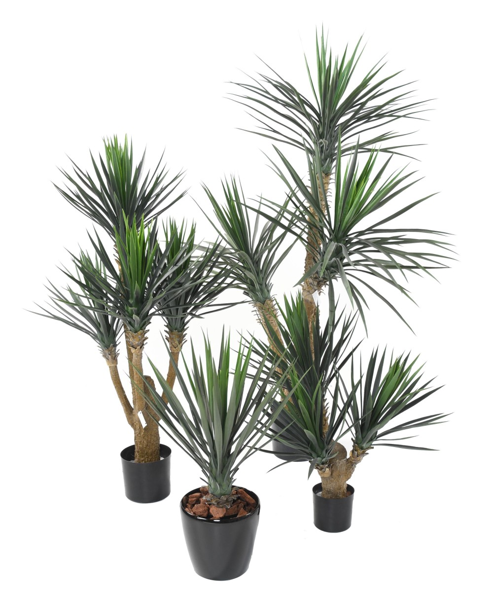 Artificial yucca ROSTRATA