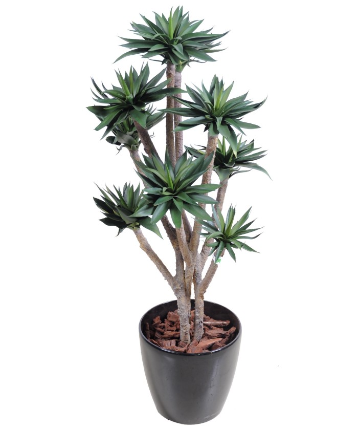 Artificial agave *9