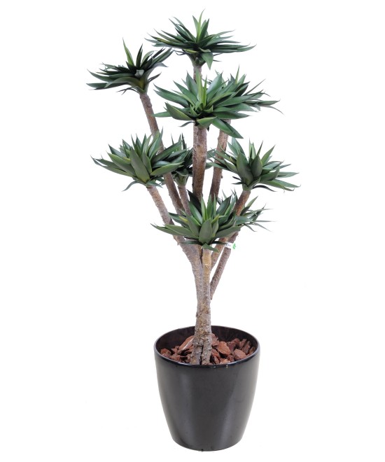 Artificial agave *9
