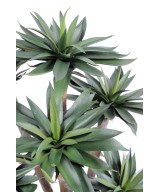 Artificial agave *9