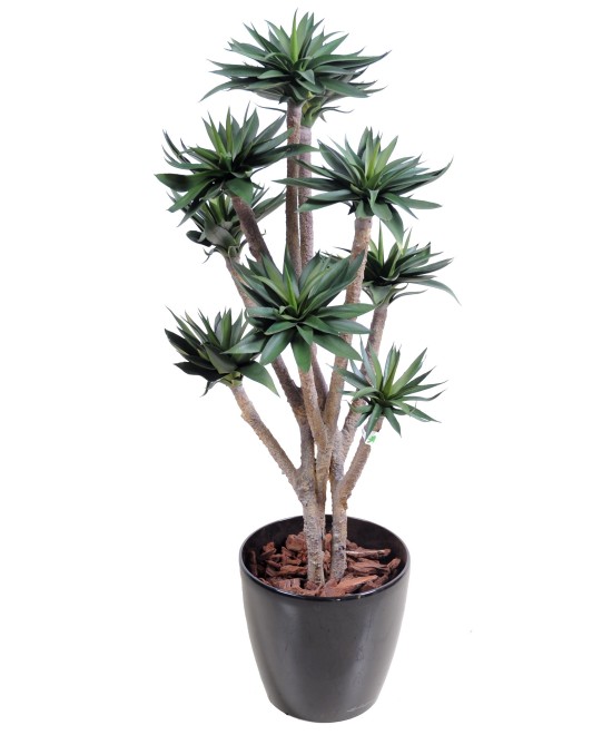 Artificial agave *9