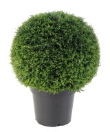 Kunstlik küpress (juniperus vj) PALLIPOTT