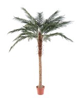 Artificial Phoenix PALM