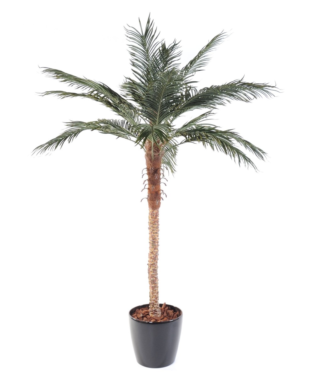 Artificial Phoenix PALM