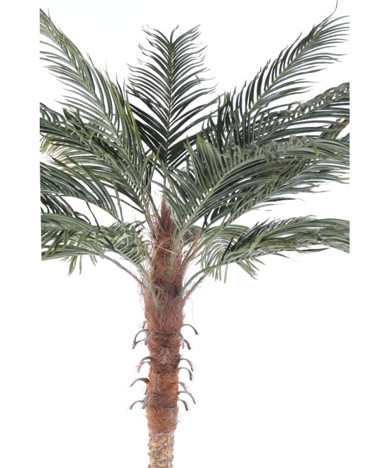 Artificial Phoenix PALM