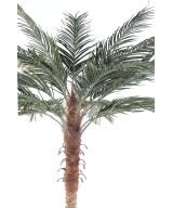 Artificial Phoenix PALM