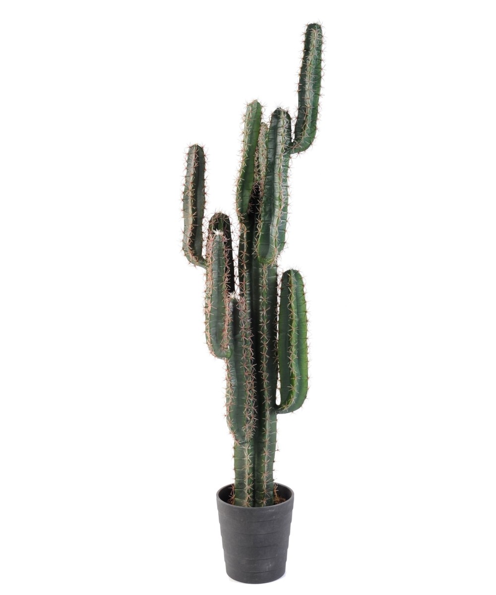Kunstlik kaktus FINGER