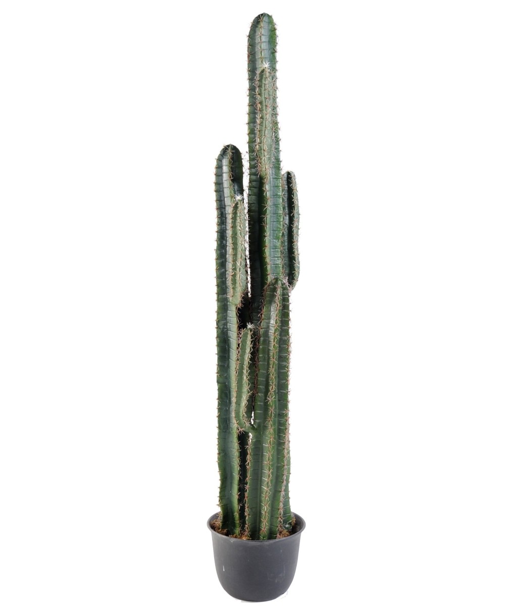 Kunstlik kaktus FINGER