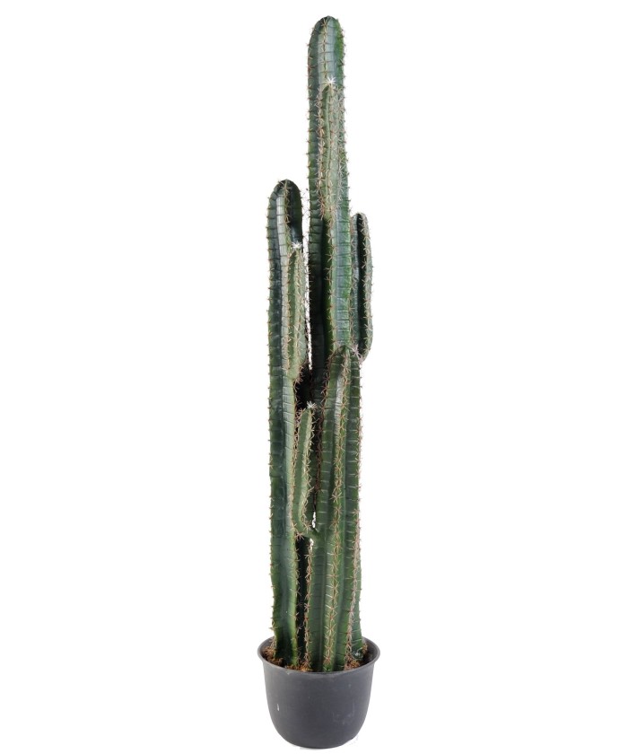 Kunstlik kaktus FINGER