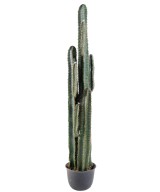 Kunstlik kaktus FINGER