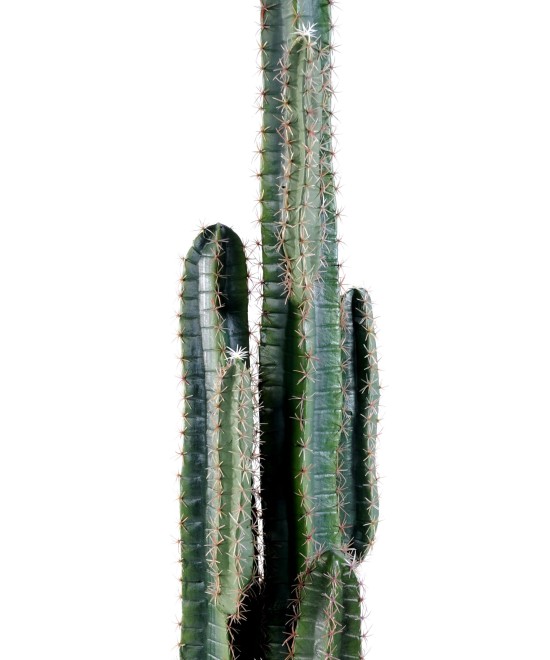 Kunstlik kaktus FINGER