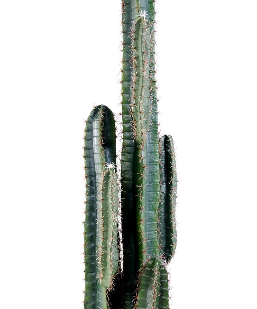 Kunstlik kaktus FINGER