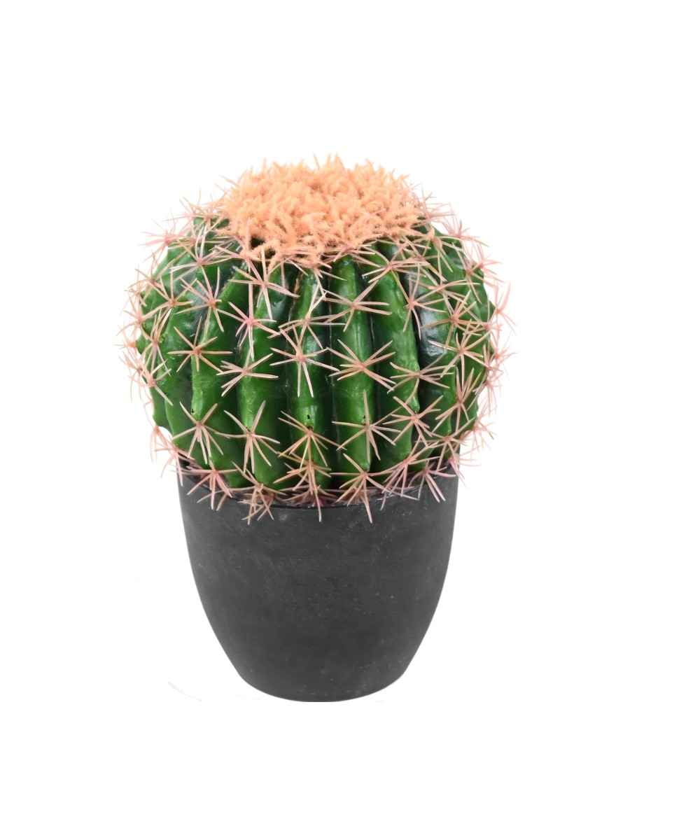Artificial cactus ECHINO