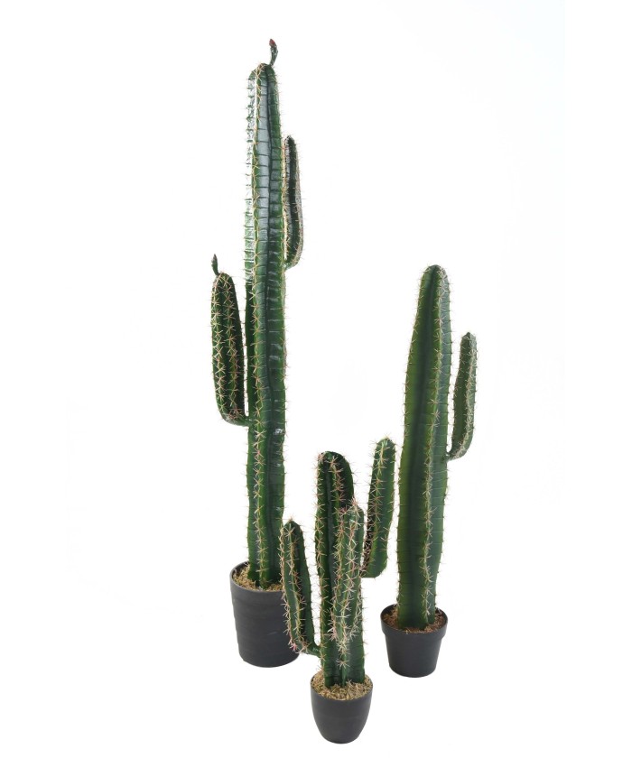 Kunstlik kaktus CEREUS