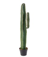 Kunstlik kaktus CEREUS