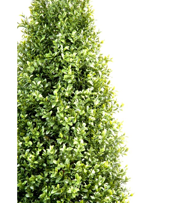 Pügatud vormiga kunstpukspuu