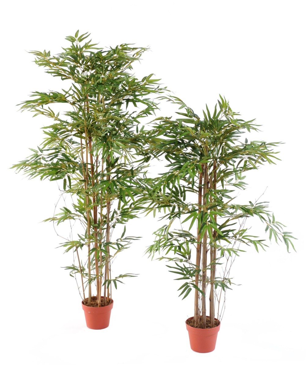 Kunstbambus ORIENTAL ECO 2