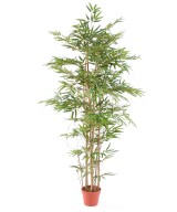 Kunstbambus ORIENTAL ECO 2