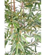 Artificial bamboo ORIENTAL ECO 2