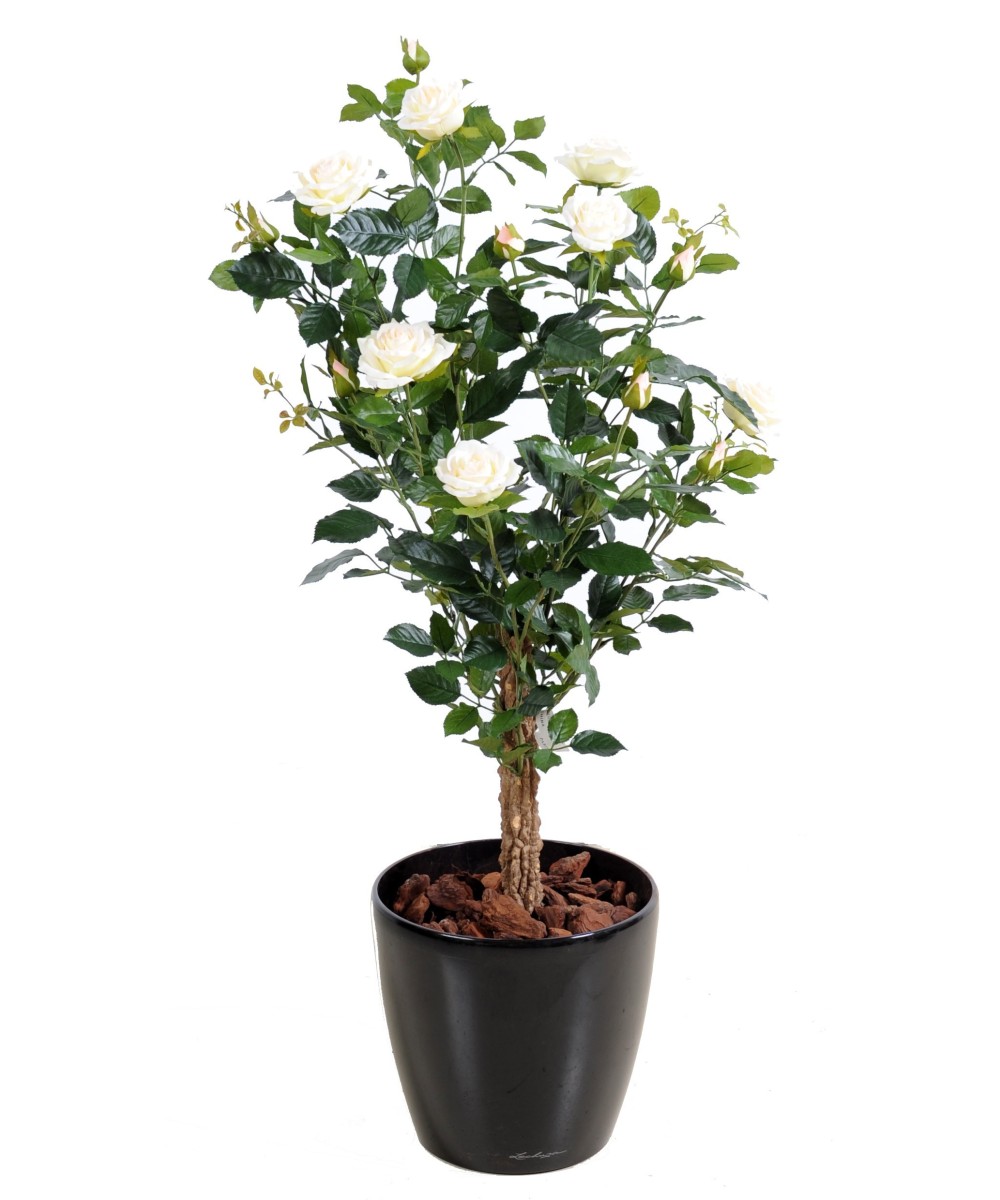 Artificial ROSE