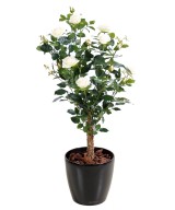 Artificial ROSE