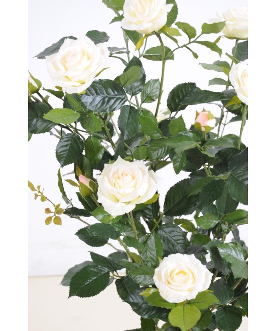 Artificial ROSE