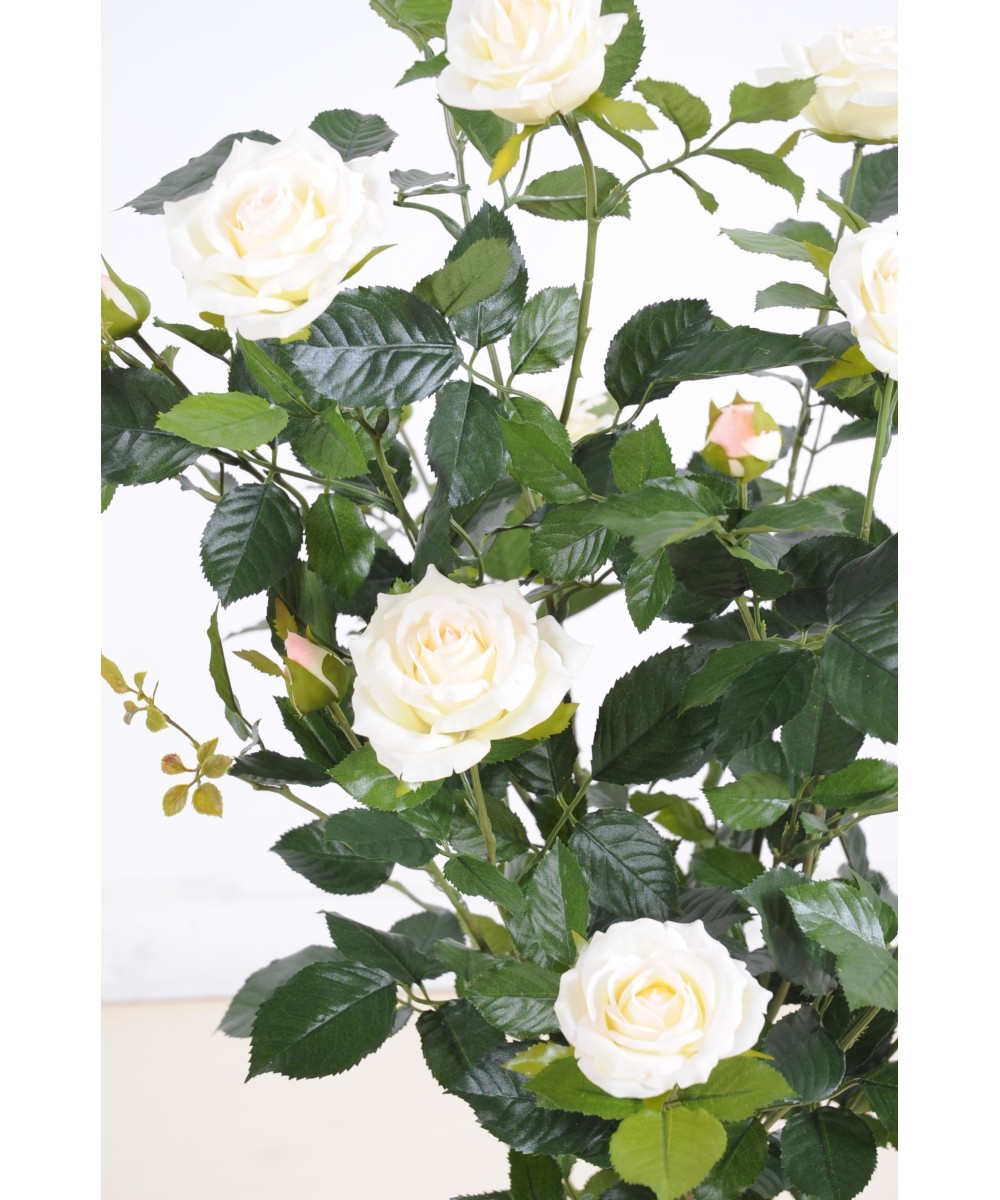 Artificial ROSE