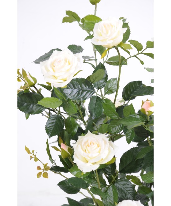 Artificial ROSE