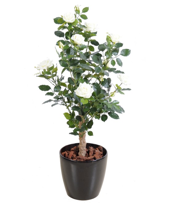 Artificial ROSE